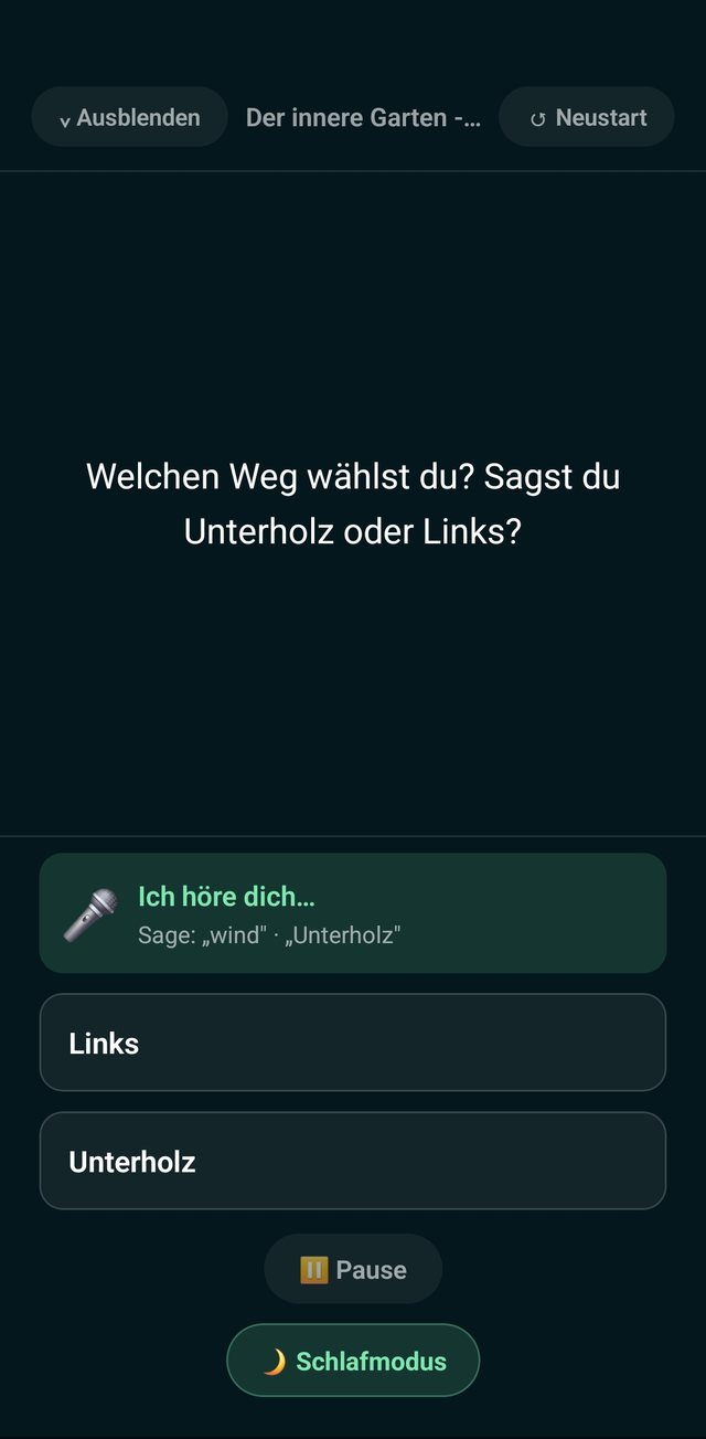 Player mit Sprachsteuerung: „Welchen Weg wählst du?“